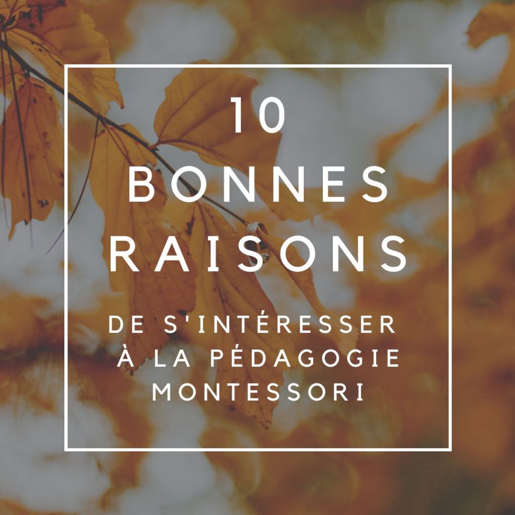 10 Bonnes raisons de s&rsquo;intéresser à la Pédagogie&nbsp;Montessori